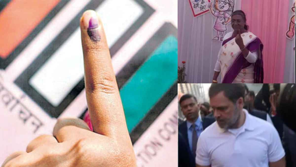దిల్లీ అసెంబ్లీ ఎన్నికలు.. ఓటేసిన ప్రముఖులు వీరే