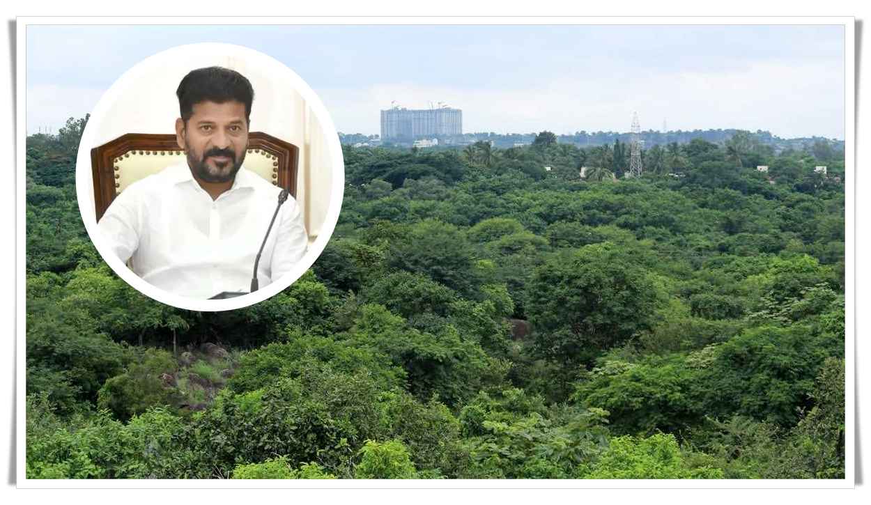 ఇది రిపీట్ కావొద్దు.. కంచ గచ్చిబౌలి భూముల వ్యవహారంపై సీఎం రేవంత్‌