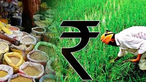 MSP for Crops: 14 పంటలకు మద్దతు ధరలు పెంచిన కేంద్రం 