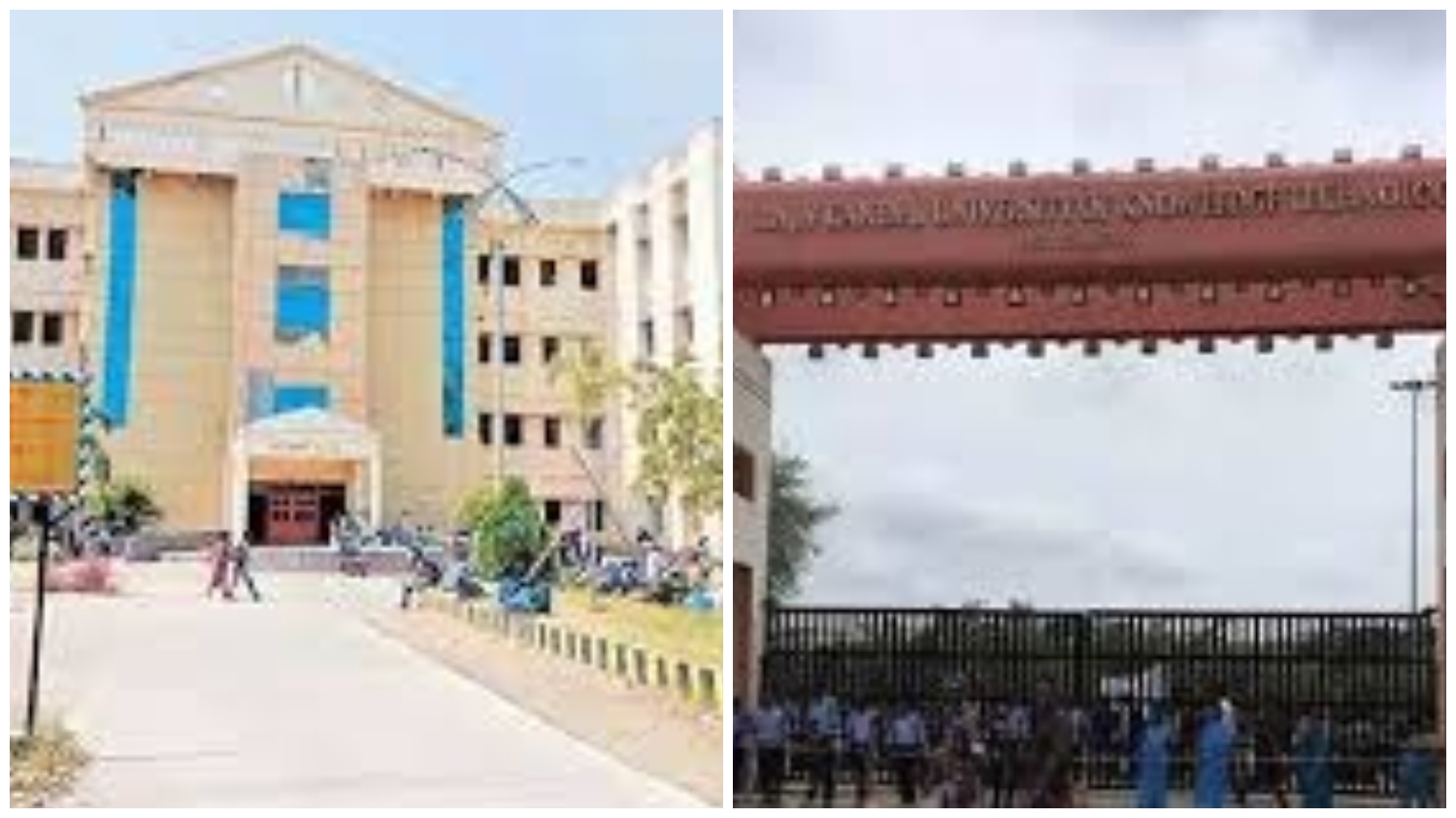 Basara RGUKT: బాసర ఆర్జీయూకేటీలో నోటిఫికేషన్ ఆలస్యం.. మెరిట్ స్టూడెంట్స్ అన్యాయం