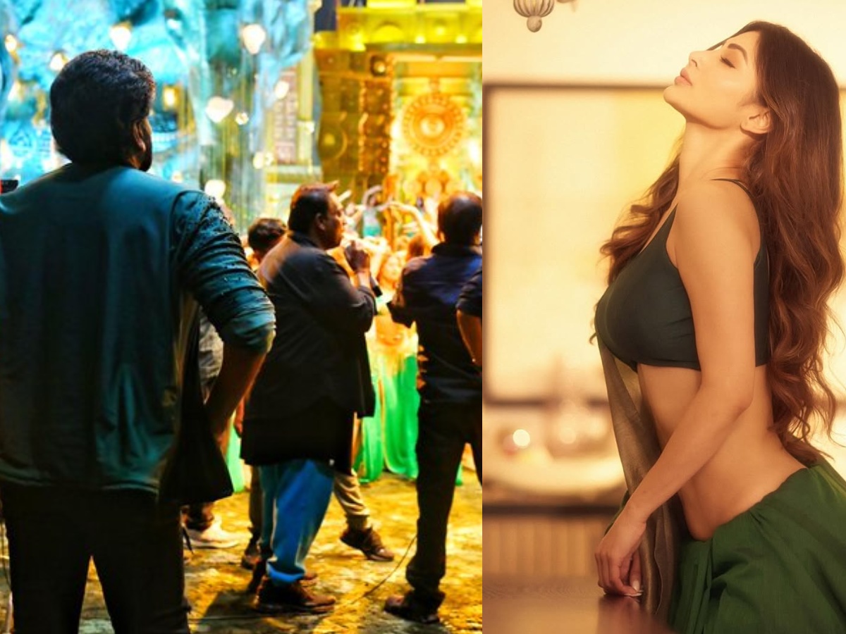 చిరంజీవితో స్టెప్పులేయనున్న క్రేజీ బ్యూటీ.. విశ్వంభర స్పెషల్ సాంగ్ షూట్ స్టార్ట్!